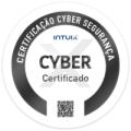Segurança cibernética